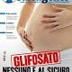 Test glifosato